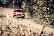 50. NIBELUNGENRING-RALLYE 2017 - WP1 - www.rallyelive.com