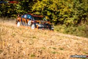 50. NIBELUNGENRING-RALLYE 2017 - WP1 - www.rallyelive.com