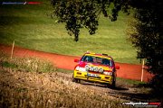 50. NIBELUNGENRING-RALLYE 2017 - WP1 - www.rallyelive.com