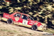 50. NIBELUNGENRING-RALLYE 2017 - WP1 - www.rallyelive.com