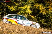 50. NIBELUNGENRING-RALLYE 2017 - WP1 - www.rallyelive.com