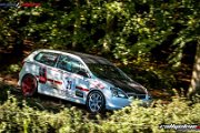 50. NIBELUNGENRING-RALLYE 2017 - WP1 - www.rallyelive.com