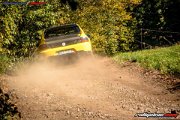 50. NIBELUNGENRING-RALLYE 2017 - WP1 - www.rallyelive.com