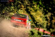 50. NIBELUNGENRING-RALLYE 2017 - WP1 - www.rallyelive.com