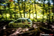 50. NIBELUNGENRING-RALLYE 2017 - WP1 - www.rallyelive.com