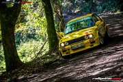 50. NIBELUNGENRING-RALLYE 2017 - WP1 - www.rallyelive.com