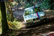 50. NIBELUNGENRING-RALLYE 2017 - WP1 - www.rallyelive.com