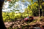 50. NIBELUNGENRING-RALLYE 2017 - WP1 - www.rallyelive.com