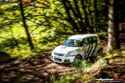 50. NIBELUNGENRING-RALLYE 2017 - WP1 - www.rallyelive.com