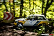 50. NIBELUNGENRING-RALLYE 2017 - WP1 - www.rallyelive.com