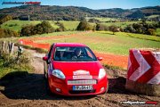 50. NIBELUNGENRING-RALLYE 2017 - WP1 - www.rallyelive.com