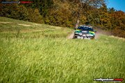 50. NIBELUNGENRING-RALLYE 2017 - WP1 - www.rallyelive.com