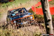 50. NIBELUNGENRING-RALLYE 2017 - WP1 - www.rallyelive.com