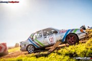 50. NIBELUNGENRING-RALLYE 2017 - WP1 - www.rallyelive.com