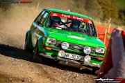 50. NIBELUNGENRING-RALLYE 2017 - WP1 - www.rallyelive.com