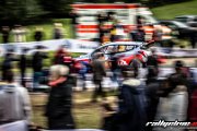 adac-rallye-deutschland-wrc-2014-rallyelive.com-8185.jpg