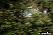 ADAC Rallye Deutschland - www.rallyelive.com