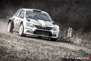 adac-saarland-pfalz-rallye-2017-rallyelive.com-2785.jpg